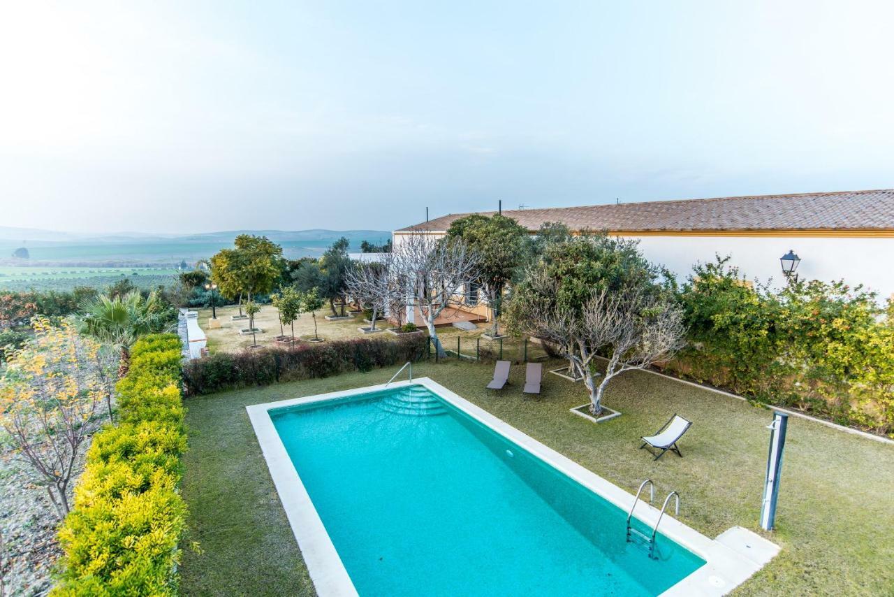 Vivienda Rural Olivar De San Telmo Аркос де ла Фронтера Екстериор снимка