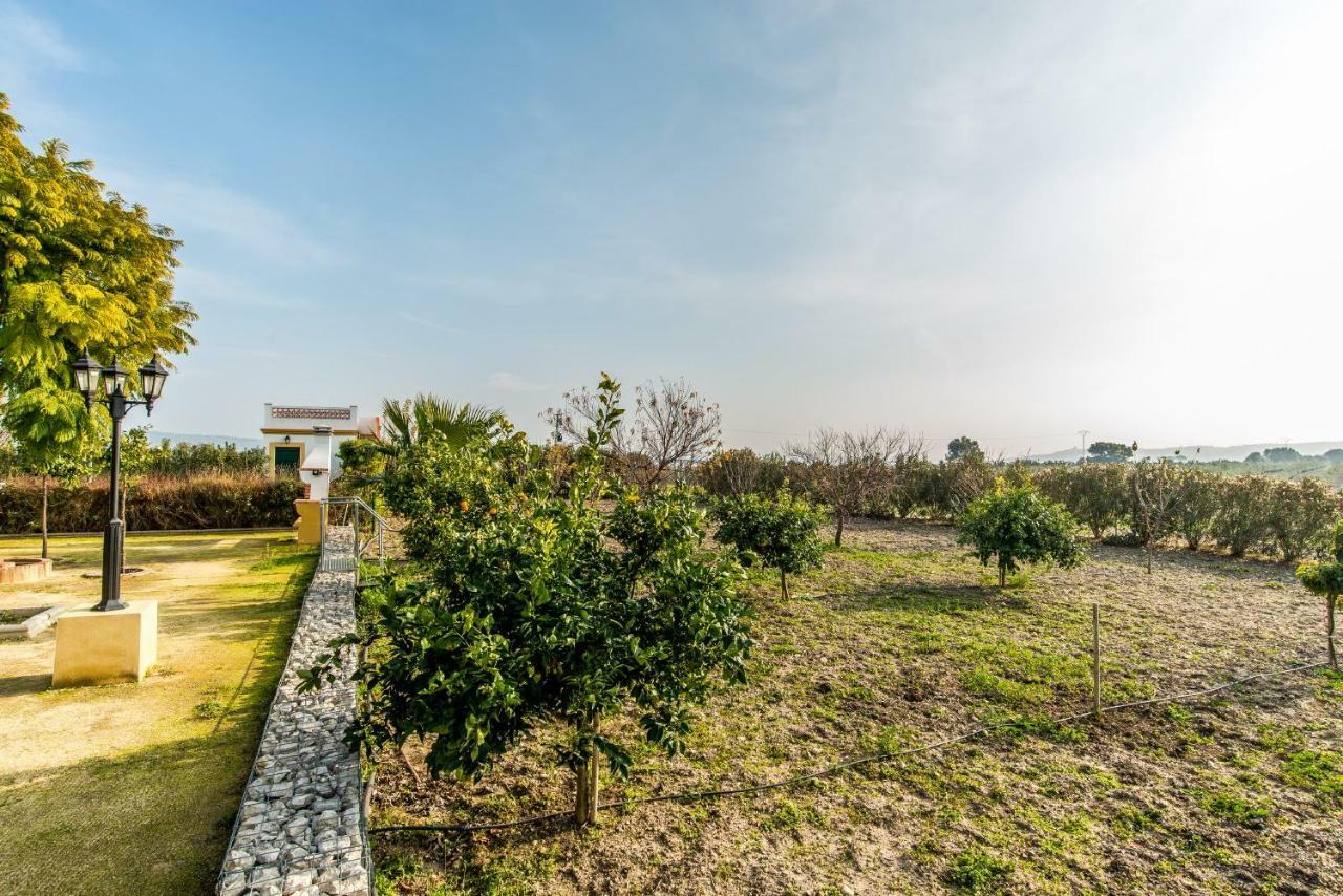 Vivienda Rural Olivar De San Telmo Аркос де ла Фронтера Екстериор снимка