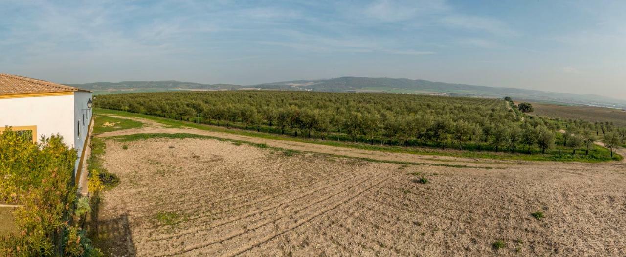 Vivienda Rural Olivar De San Telmo Аркос де ла Фронтера Екстериор снимка