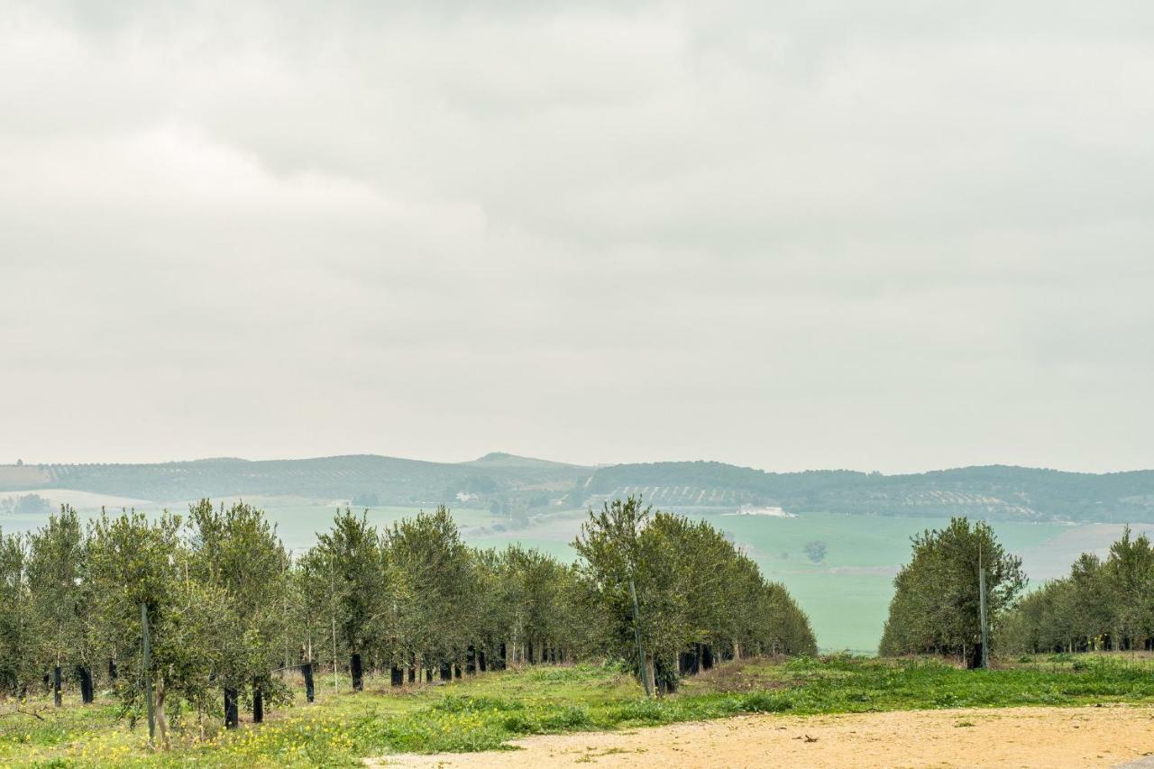 Vivienda Rural Olivar De San Telmo Аркос де ла Фронтера Екстериор снимка