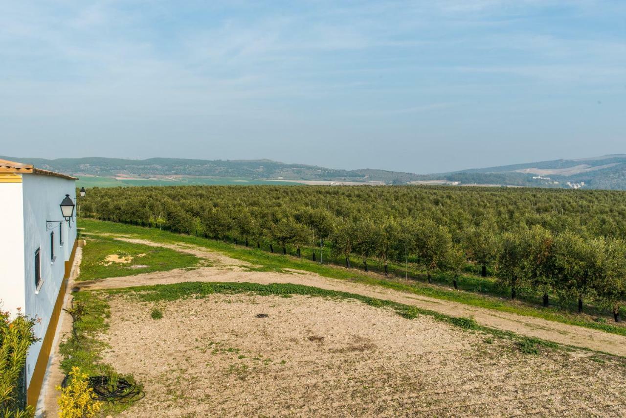 Vivienda Rural Olivar De San Telmo Аркос де ла Фронтера Екстериор снимка